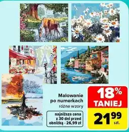 Carrefour Malowanie po numerkach różne wzory oferta
