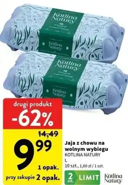 Intermarche Jaja z chowu na wolnym wybiegu Kotlina Natury L oferta