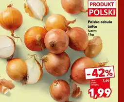 Kaufland Cebula Polski oferta