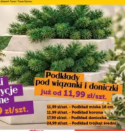 Topaz Podkład korona oferta