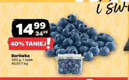 Netto Borówka oferta