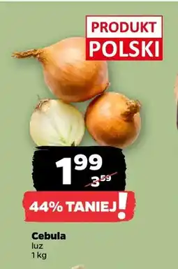 Netto Cebula oferta