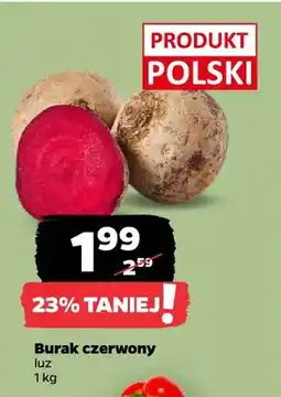 Netto Buraki czerwone oferta