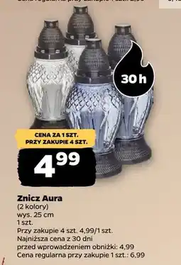 Netto Znicz Aura oferta