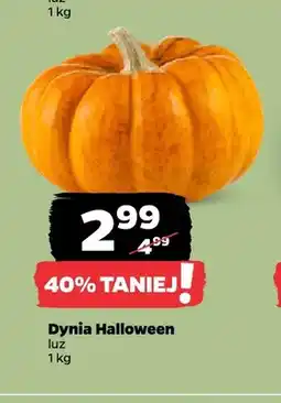 Netto Dynia Halloween oferta