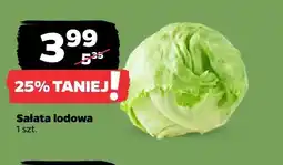 Netto Sałata lodowa oferta