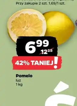 Netto Pomelo oferta