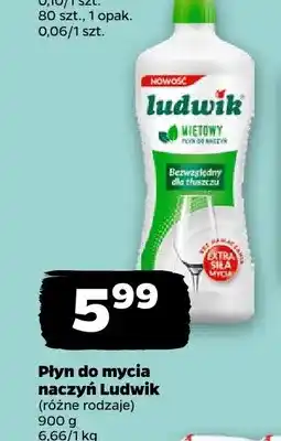 Netto Płyn do mycia naczyń Ludwik oferta