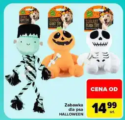 Carrefour Zabawka dla psa HALLOWEEN oferta