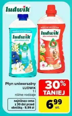 Carrefour Płyn uniwersalny Ludwik oferta