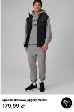 4F Spodnie dresowe joggery męskie oferta
