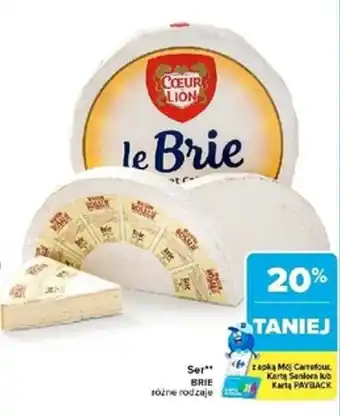 Ser brie