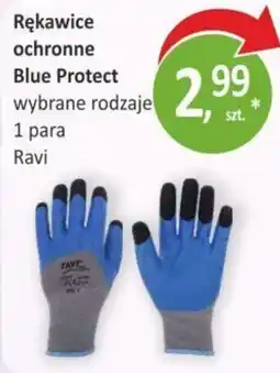 Orzech Rękawice ochronne Blue Protect oferta
