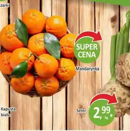 Orzech Mandarynka oferta
