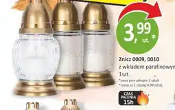 Orzech Znicz oferta