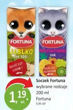 Orzech Soczek Fortuna oferta