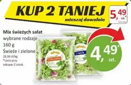 Orzech Mix świeżych sałat wybrane rodzaje oferta