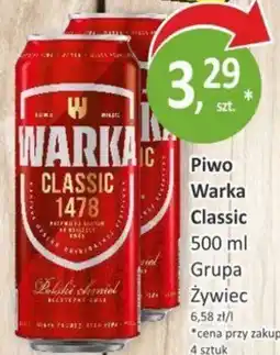 Orzech Piwo Warka Classic oferta