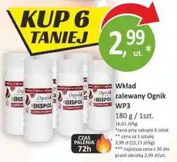 Orzech Wkład zalewany Ognik WP3 oferta