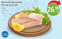 Orzech Morszczuk Agretyński filet bez skóry SHP oferta