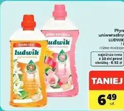 Carrefour Express Płyn uniwersalny LUDWIK oferta
