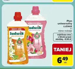 Carrefour Express Płyn uniwersalny Ludwik wiosenny ogród oferta