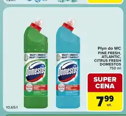 Carrefour Express Płyn do WC Atlantic Domestos oferta