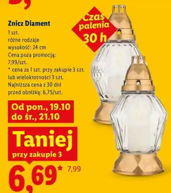 Lidl Znicz Diament oferta
