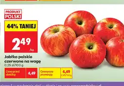 Biedronka Jabłka polskie czerwone oferta