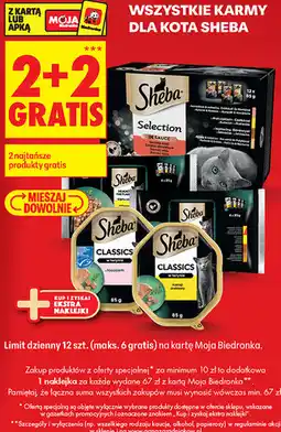 Biedronka Karma dla kota Sheba oferta
