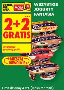 Biedronka Wszystkie jogurty Fantasia oferta