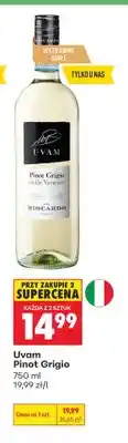 Biedronka Wino białe Uvam Pinot Grigio oferta