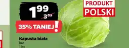 Netto Kapusta biała Polski oferta