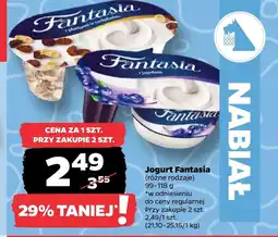 Netto Jogurt Fantasia oferta