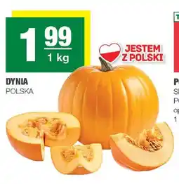 Spar Dynia polska oferta