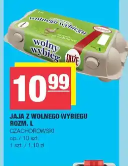 Spar Jajka kurze z wolnego wybiegu rozm. L Czachorowski oferta