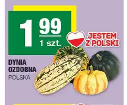 Spar Dynia ozdobna polska oferta