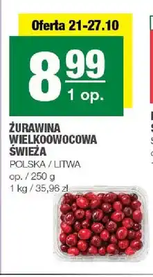 Spar Żurawina wielkoowocowa świeża oferta