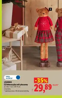 Lidl Dekoracyjny miś pluszowy Livarno oferta