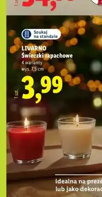 Lidl Świeczki zapachowe Livarno oferta