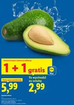 Lidl Awokado zielone oferta