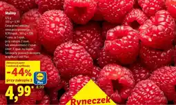 Lidl Maliny oferta