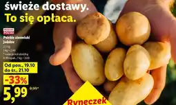 Lidl Polskie ziemniaki jadalne oferta