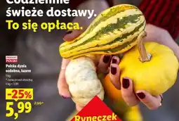 Lidl Polska dynia ozdobna, luzem oferta