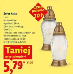 Lidl Znicz Kalia oferta