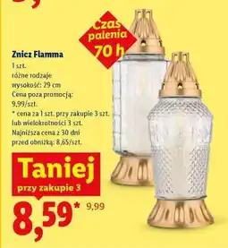 Lidl Znicz Flamma oferta