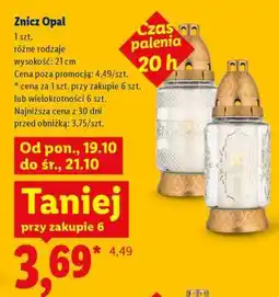 Lidl Znicz Opal oferta
