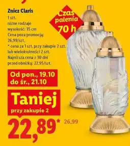 Lidl Znicz Claris oferta