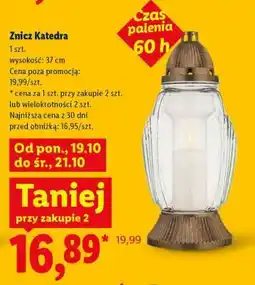 Lidl Znicz Katedra oferta