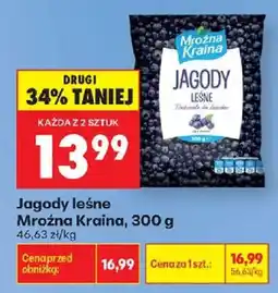 Biedronka Jagody leśne Mroźna Kraina oferta